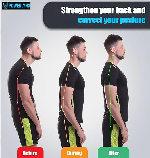 POWERLYNX Posture Corrector for Back Pain Relief. Adjustable Shoulder Straightener. Cross Training Belt for Men and Women. (Large)