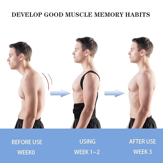 Back Brace Posture Corrector for Women Men -Adjustable and Breathable Support Scoliosis for Waist - Improve Back Posture for Body Correction and Lumbar Support L(33"-37")